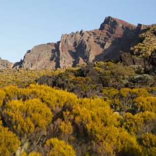 Krajina u Cabane Dufourm