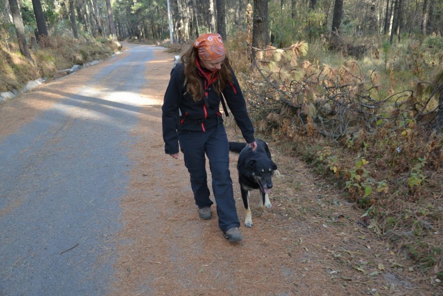 Místní horský průvodce