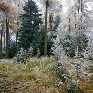 Českým turistům se odkrývají nové pohledy, nové zážitky