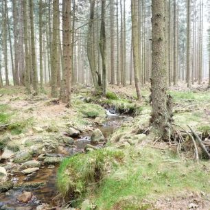 Doposud zde protékají přirozené vodní toky