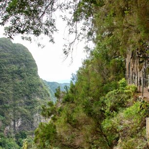 Madeira se probojovala do finále a vyhrála zlato! 