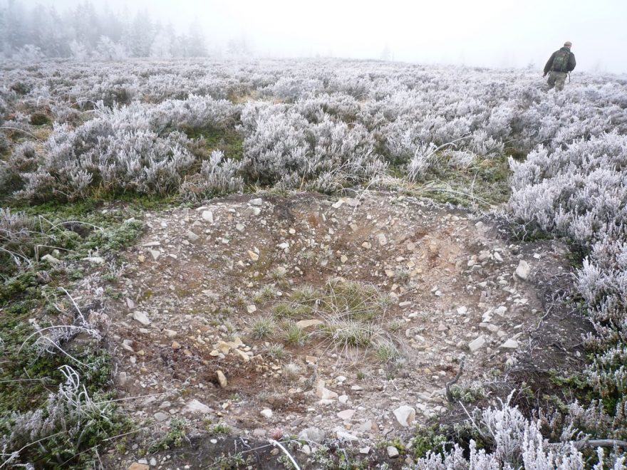 Ideální místo pro vznik tůně