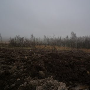 Perfektní prodmínky pro vznik biotopu