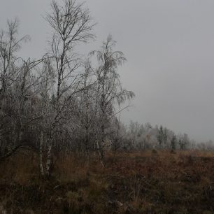 Krajina zde má zvláštní tajemné kouzlo