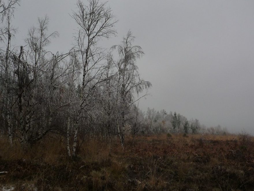 Krajina zde má zvláštní tajemné kouzlo