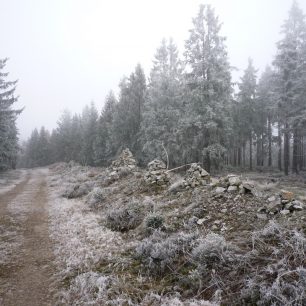 Nejvyšší vrchol Brd  - Tok