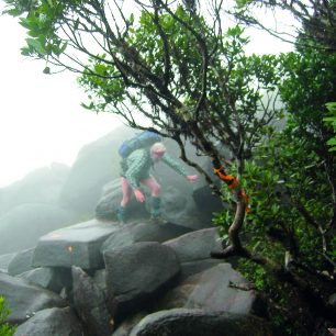 Výstup na Mt. Bartle Frere je v dešti náročný, značení má podobu šipek a pásků uvázaných na stromech