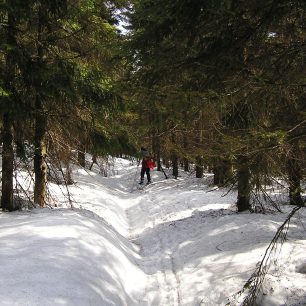 Cestou, necestou, na backcountry nejste omezeni