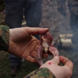 Příprava žáby ke konzumaci, foto: www.outdoorsurvival.cz