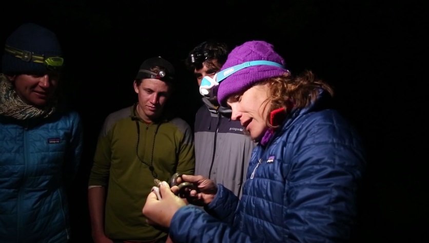 Zlatým hřebem akce byl tento nález