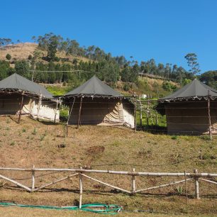 Kemp Suryanelli, Indie