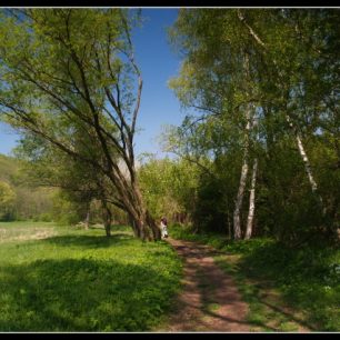 Cesta k vinici Šobes