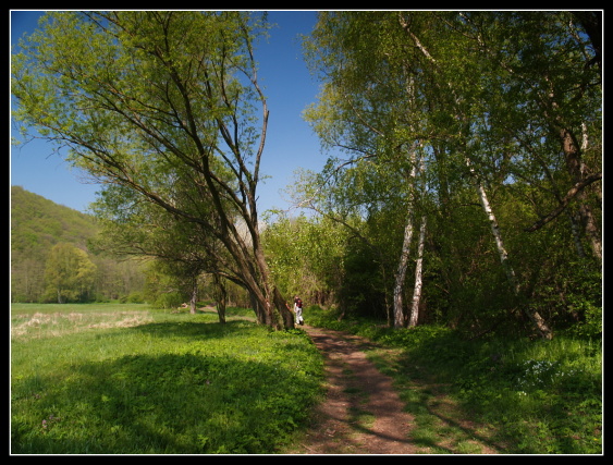 Cesta k vinici Šobes