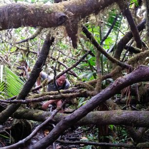 Závěrečné pasáže z výstupu na Morne Diablotin byly jako opičí dráha