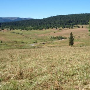 Zhůřské pláně s říčkou Křemelná