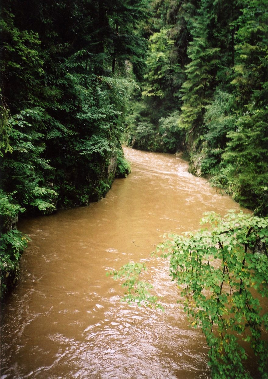 Dravá řeka