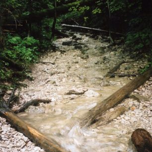 Kláštorská roklina - cesta korytem potoka