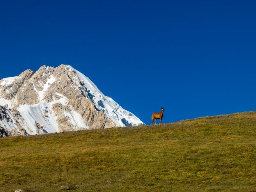 Zelené svahy pod sedlem Ak Tjubek