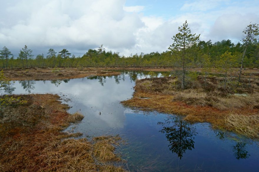 Zrcadlová temná jezírka jsou absolutně demineralizovaná, nerostou v nich žádné řasy a jsou absolutně čirá, Estonsko