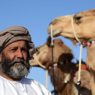 Velbloudi jsou v Ománu běžným dopravním prostředkem