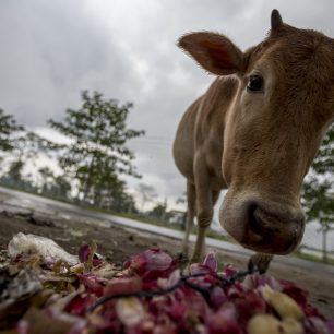 Ve velkých městech de facto nenarazíte na bílého turistu