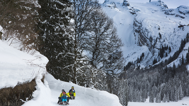 Dráhy mají mantinely, takže jsou vhodné i pro děti, Švýcarsko