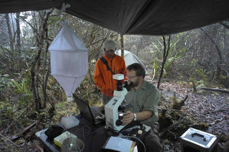 Hanys Kaštovský hledá nové druhy sinice napříč celou Guayánskou vysočinou.