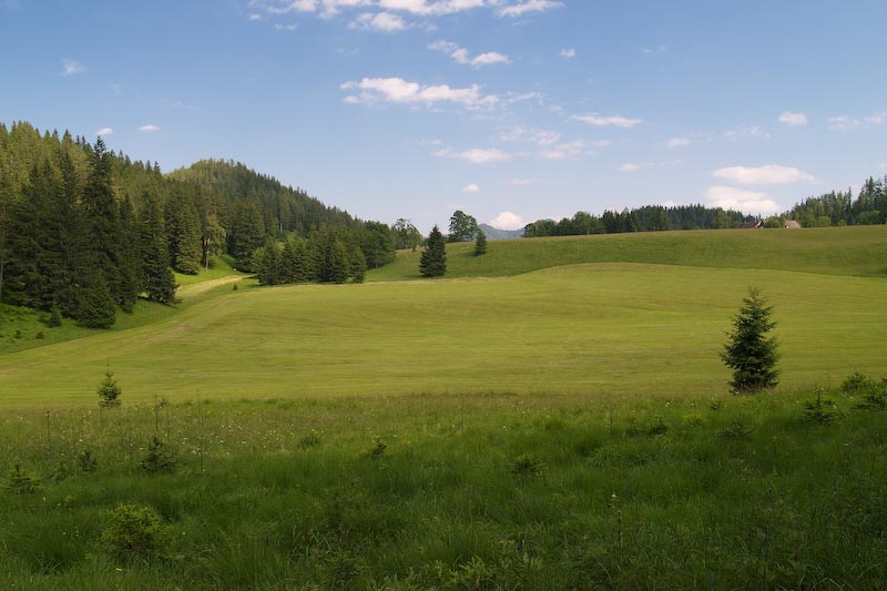 Náhorní planina nad roklinou Ötschergräben