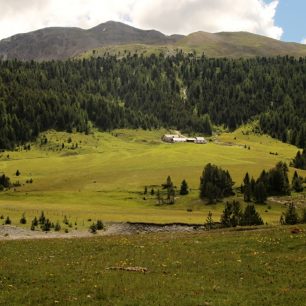 Pastviny v národním parku, Švýcarsko