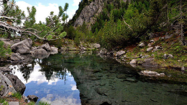 Průzračná voda v jezeře, Derborence, Švýcarsko