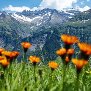 Švýcarská tektonická aréna Sardona je na seznamu UNESCO, Švýcarsko