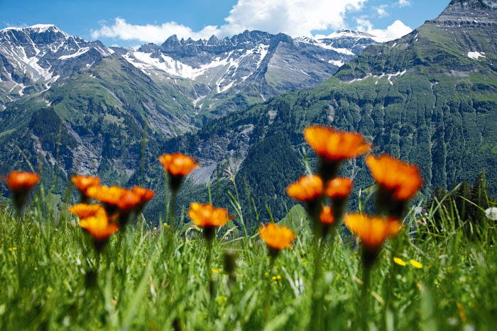 Švýcarská tektonická aréna Sardona je na seznamu UNESCO, Švýcarsko