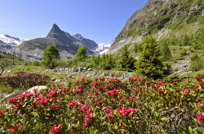 I v létě je Arolla oblíbenou destinací, Švýcarsko