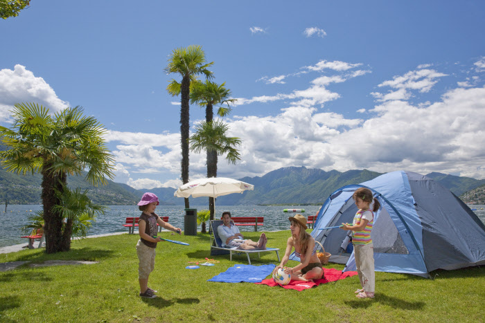 Palmy na břehu jezera Maggiore, Švýcarsko