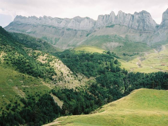 Vždy zelená údolí...