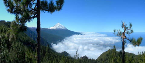 Pico de Teide