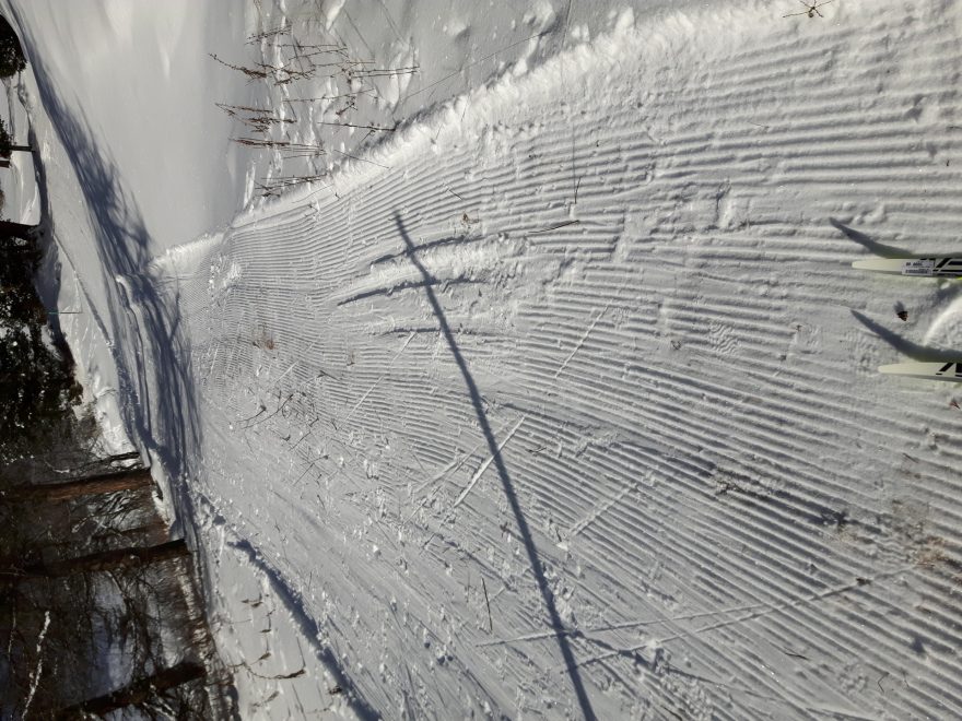 Na recepci nám bylo sděleno, že do údolí vede neupravená trasa