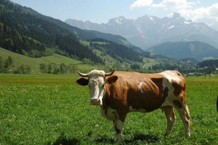 Čeká na vás kouzelná krajina jako z pohádky, St. Martin, Rakousko