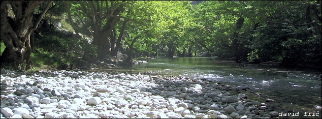 Říčka Vikos