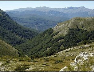 Svahy pohoří Bistra