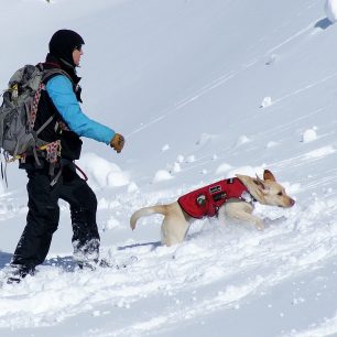 Výcvik lavinových psů, foto: Vlaďka Kennett