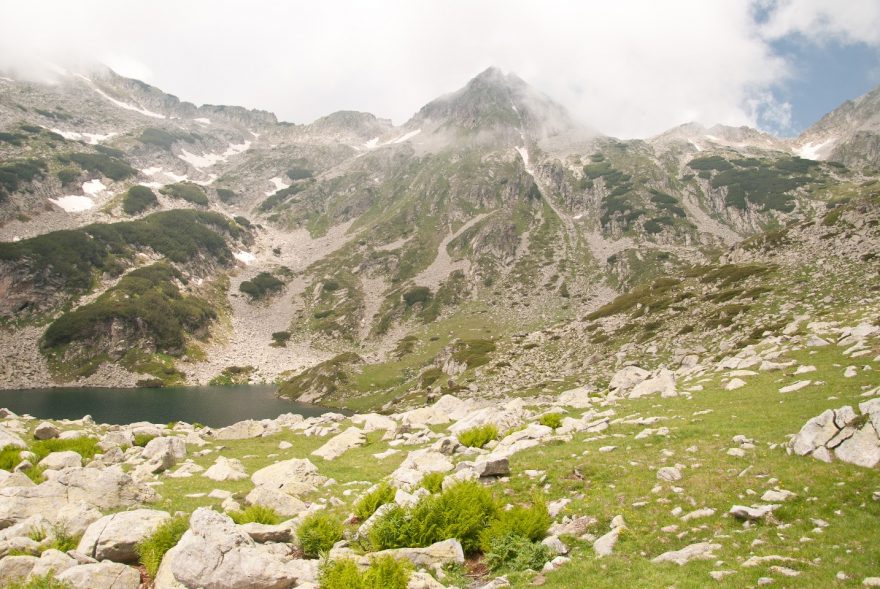 Osamocená příroda