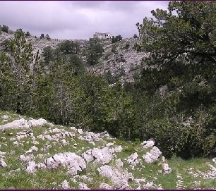 Horská fauna Orjenu