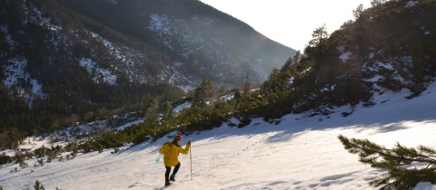 Výstup na na polský vrchol Barania Góra na sněžnicích z Jablunkova