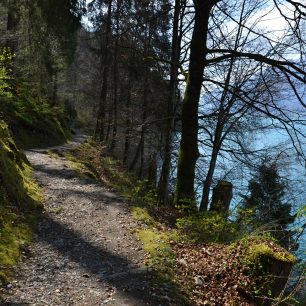 Klikatá stezka lesem, Brienzersee, Švýcarsko.