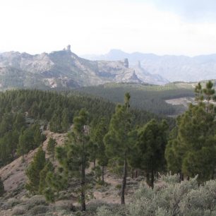 Výhled z Pico de las Nieves na Roque Nublo