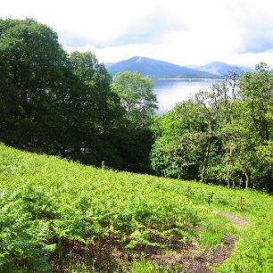 Výhled na jezero Loch Lomond od Conic Hill
