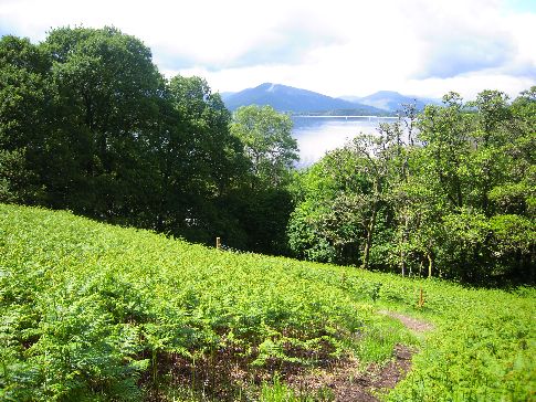 Výhled na jezero Loch Lomond od Conic Hill