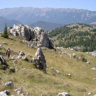 Příroda Rumunska