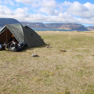 Hornstrandir, Island